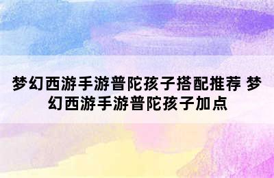 梦幻西游手游普陀孩子搭配推荐 梦幻西游手游普陀孩子加点